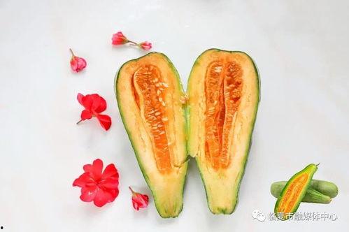 怀仁最近网红大瓜