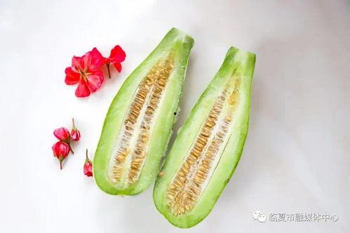 怀仁最近网红大瓜